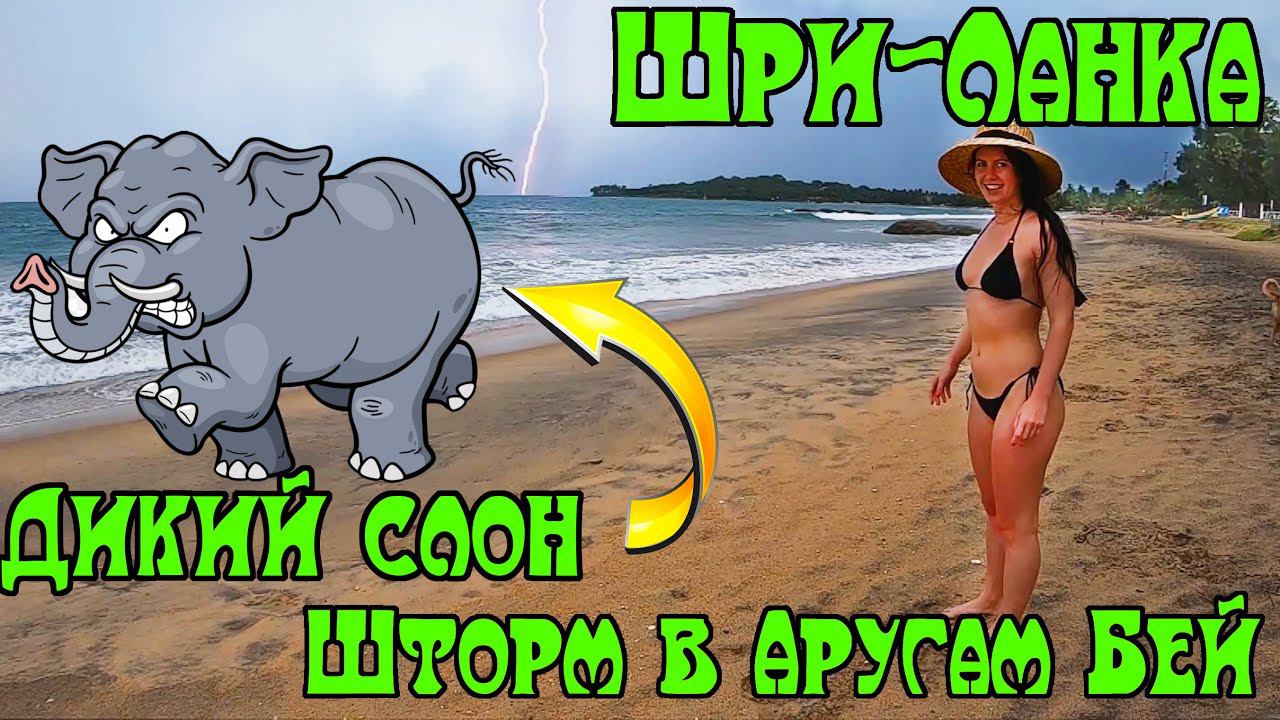 Шри-Ланка. Часть 3. Аругам Бей. Серфинг. Пляж с черным песком. Шторм. Дикий слон. Местная кухня смотреть онлайн