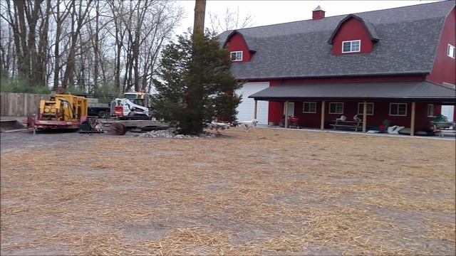 Central asian shepherd alabai Safar,1 year and 6 month old смотреть онлайн