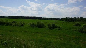 РУССКОЕ ПОЛЕ  Плес,  Пахра, Касимовка, Выголово...