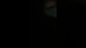 партия второго голоса