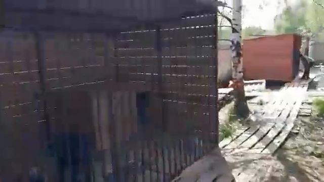 Приют Весёлые Хвосты смотреть онлайн