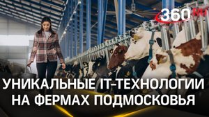 Уникальная сельскохозяйственная артель под Сергиевым Посадом: 
внедрение ИИ на фермы Подмосковья