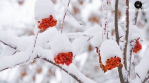 Best Romantic Guitar Music for Relaxation of All Time ️? Beautiful Soothing Music for Stress Relief