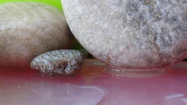 (78) окаменение после окремления смотреть онлайн