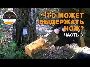Жесткие тесты ножей для бушкрафта от N.C.Custom. Рубим кость, разжигаем костер