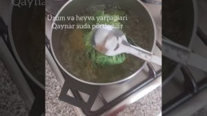 Heyva və üzüm  yarpağında  dolma.Голубцы в листьях винограда и айвы .