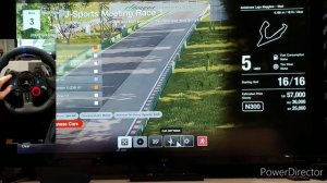 Gran Turismo Sport Logitech G29 Settings
