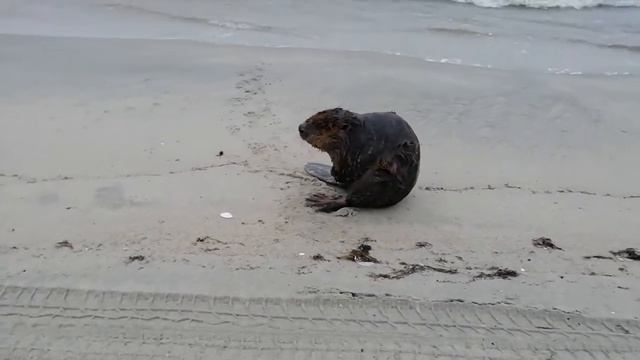 Фото дня смотреть онлайн