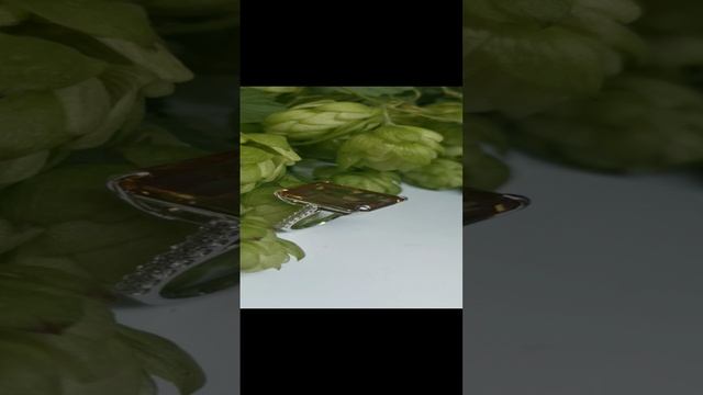 VID_20220824_162532.mp4