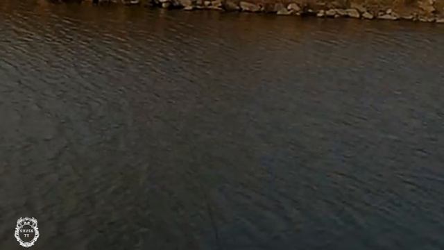 Первая весенняя рыбалка в разлив! Форель на удочку. Березовый сок смотреть онлайн