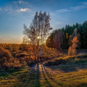 "ОТГОВОРИЛА РОЩА ЗОЛОТАЯ"... (Фото Андрея Абакумова (Рязань), музыка Григоря Пономаренко)