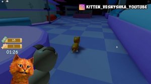 ? ПОБЕГ ПИТОМЦЕВ 2 в РОБЛОКС ПРЯТКИ Pet ? Escape 2 ROBLOX КОТЁНОК ВЕСНУШКА и КОТЁНОК ЛАЙК