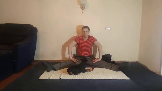 ПОРОДА ЦВЕРГПИНЧЕР ПЛЮСЫ И МИНУСЫ| ОТЗЫВ О ПОРОДЕ ЦВЕРГПИНЧЕР| ПЛЮСЫ И МИНУСЫ ПОРОДЫ ЦВЕРГПИНЧЕР