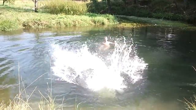 10.08.2014 Хотьково купание в реке Пажа смотреть онлайн