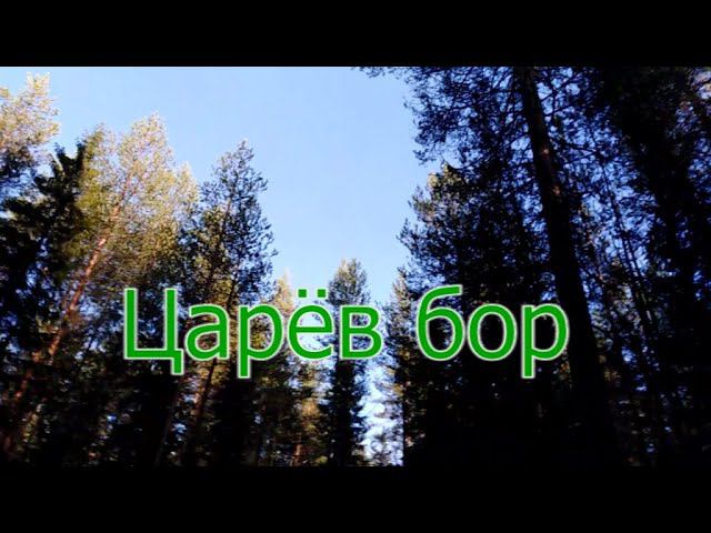 Царёв бор смотреть онлайн
