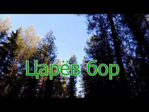 Царёв бор
