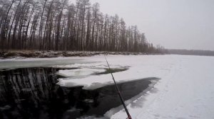 Рыбалка на Севере Забайкалья. Хариус по заберегам на реке Чара. Новое место.