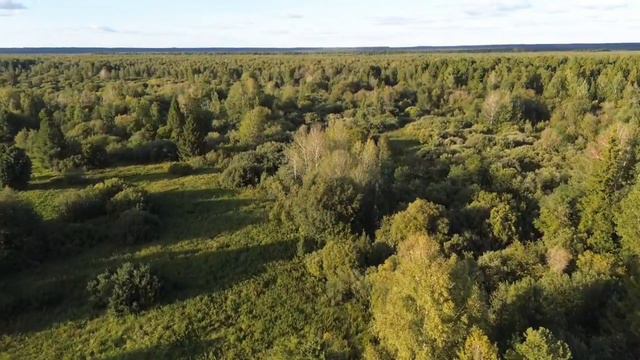 деревня Кобякская Вагайский район Тюменская область, лето 2023 смотреть онлайн