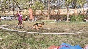 Рабочие суки 5