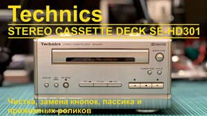 Technics RS-HD301 (SC-HD301)