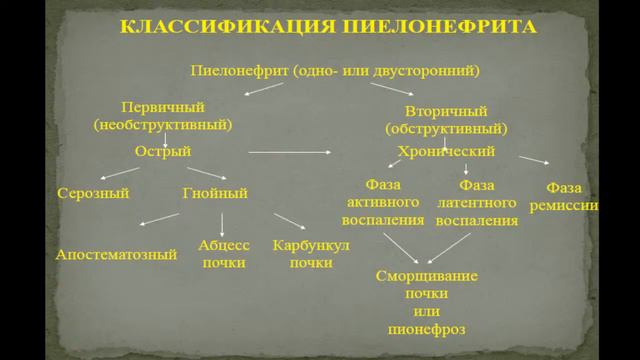 9:40 Острый и хронический гломерулонефрит. Острый и хронический пиелонефрит смотреть онлайн