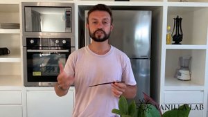 Как разделать стручок ванили