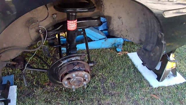 HSNWFL Gardening Zone 8a 3 13 2022 Covering plants Hard Freeze 29 degrees Mexican Petunia Moso Bam смотреть онлайн