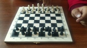 Как научиться играть в шахматы