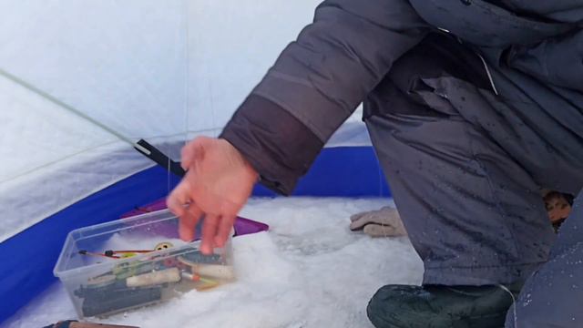 Рыбалка на Онежском озере
