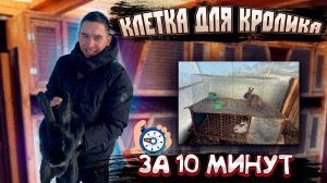 КЛЕТКА ДЛЯ КРОЛИКА ЗА 10 МИНУТ/ЖДЕМ ОКРОЛОВ