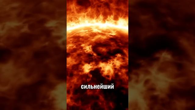 Что если исчезнет кислород