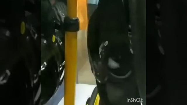 Ролики - Вездеходы "Колесница" смотреть онлайн