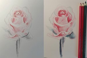 Рисунок розы акварельными карандашами || Sketching