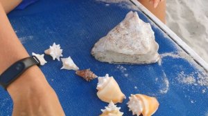 Отдых на Кубе 1 часть. Отель Bella Costa 4*, Варадеро.