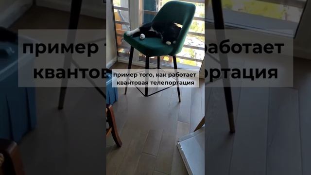 пример того, как работает квантовая телепортация ?