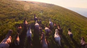 Mercedes только что объявил свой первый пикап - и это великолепно