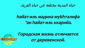 Разговорный Арабский Язык с носителем языка. Египетский диалект.Текст на арабском с переводом.Египе