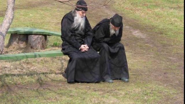 Оливковое деревце смотреть онлайн