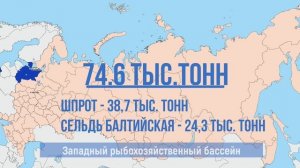 С начала 2023 года российские рыбаки добыли более 5,1 млн тонн рыбы