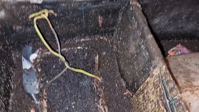 Производство биогумуса дома #134 смотреть онлайн