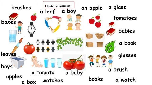 2 Plurals  Irregular Plurals  Множественное число  Неправильные формы множественного числа