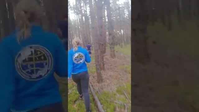 Асмр в лесу и поиск дороги смотреть онлайн