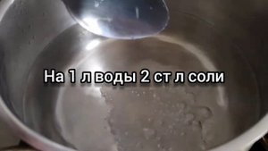 Консервированный зеленый горошек на зиму - самый простой и быстрый рецепт