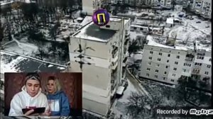 (Реакция)SerGioNis и Гиганский Палочник