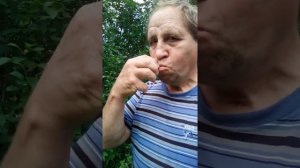 Будь проклята ,ты Колыма