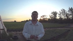 Капустная Моль (Совка) и Крестоцветная блошка атакуют капусту,как с ними бороться?!