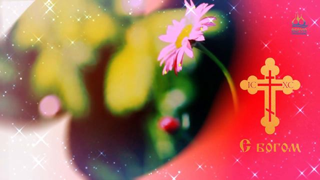 Евангелие день за днём, на 11 июля 2023 года смотреть онлайн