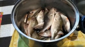 как я вялю окуня,осенью!в помощь сушилка для овощей