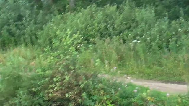 НА ТЕПЛОХОДЕ ПО ВОЛГЕ МОСКВА-КАЛЯЗИН-УГЛИЧ-МОСКВА смотреть онлайн