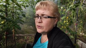 Собрали вишню, помидоры и опустили насос.....